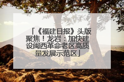 《福建日报》头版聚焦！龙岩：加快建设闽西革命老区高质量发展示范区