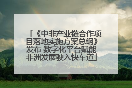 《中非产业链合作项目落地实施方案总纲》发布 数字化平台赋能非洲发展驶入快车道