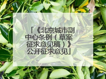《北京城市副中心条例（草案征求意见稿）》公开征求意见