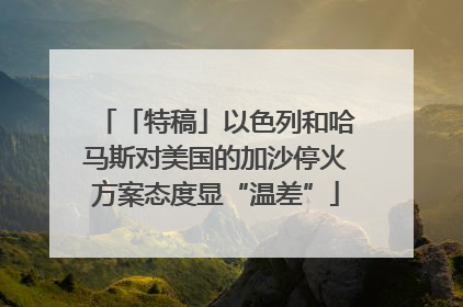 「特稿」以色列和哈马斯对美国的加沙停火方案态度显“温差”