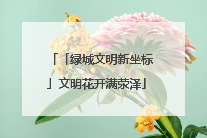 「绿城文明新坐标」文明花开满荥泽
