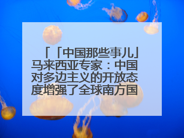 「中国那些事儿」马来西亚专家：中国对多边主义的开放态度增强了全球南方国家的力量