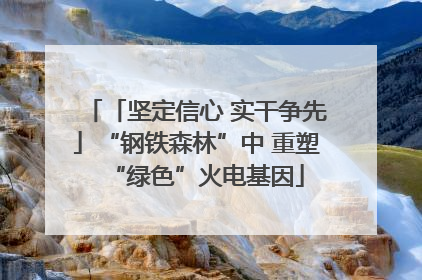 「坚定信心 实干争先」“钢铁森林”中 重塑“绿色”火电基因
