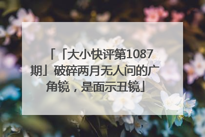 「大小快评第1087期」破碎两月无人问的广角镜，是面示丑镜