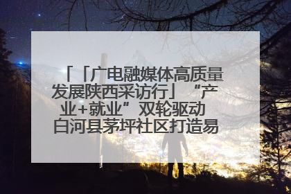 「广电融媒体高质量发展陕西采访行」“产业+就业”双轮驱动 白河县茅坪社区打造易地搬迁后扶新样本