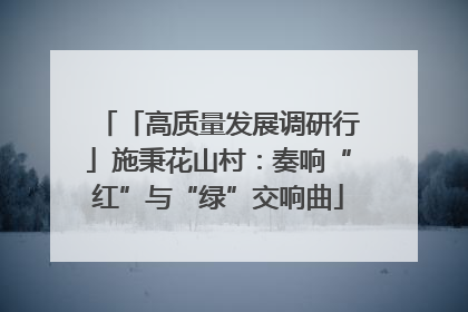「高质量发展调研行」施秉花山村：奏响“红”与“绿”交响曲