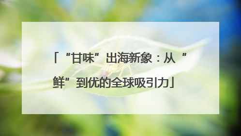“甘味”出海新象：从“鲜”到优的全球吸引力