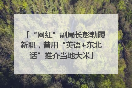 “网红”副局长彭勃履新职，曾用“英语+东北话”推介当地大米