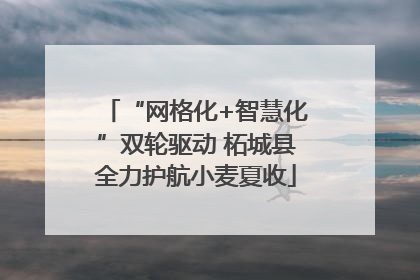 “网格化+智慧化”双轮驱动 柘城县全力护航小麦夏收