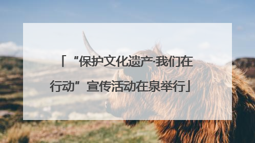“保护文化遗产·我们在行动”宣传活动在泉举行