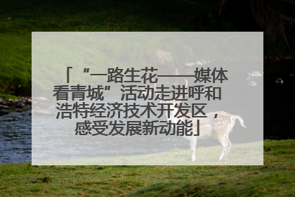 “一路生花——媒体看青城”活动走进呼和浩特经济技术开发区，感受发展新动能
