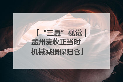 “三夏”视觉｜孟州麦收正当时 机械减损保归仓