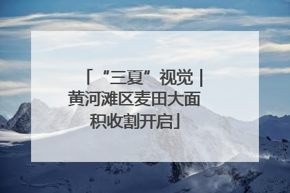 “三夏”视觉｜黄河滩区麦田大面积收割开启