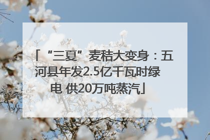 “三夏”麦秸大变身：五河县年发2.5亿千瓦时绿电 供20万吨蒸汽