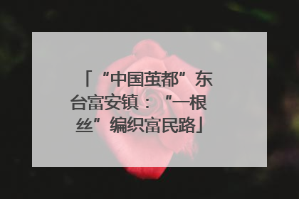 “中国茧都”东台富安镇：“一根丝”编织富民路