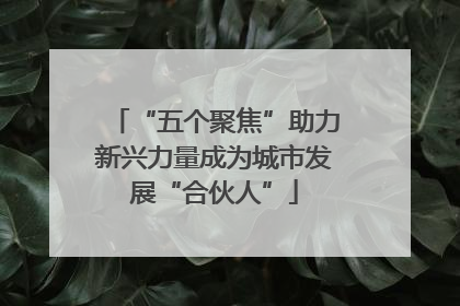 “五个聚焦”助力新兴力量成为城市发展“合伙人”