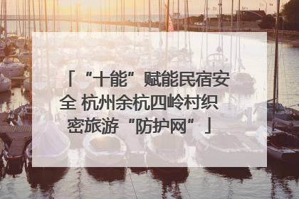 “十能”赋能民宿安全 杭州余杭四岭村织密旅游“防护网”