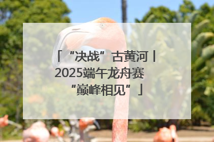 “决战”古黄河丨2025端午龙舟赛“巅峰相见”