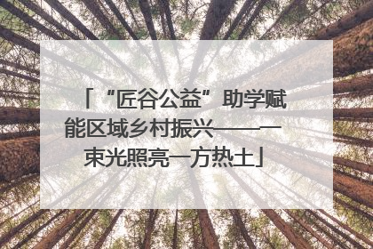 “匠谷公益”助学赋能区域乡村振兴——一束光照亮一方热土