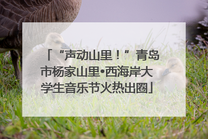 “声动山里！”青岛市杨家山里•西海岸大学生音乐节火热出圈