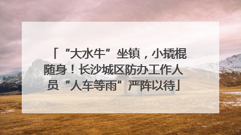 “大水牛”坐镇，小撬棍随身！长沙城区防办工作人员“人车等雨”严阵以待