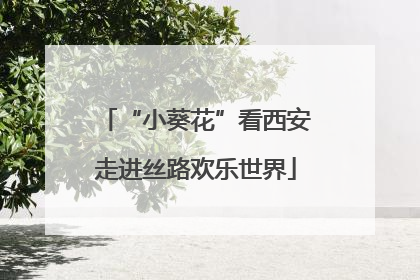 “小葵花”看西安走进丝路欢乐世界