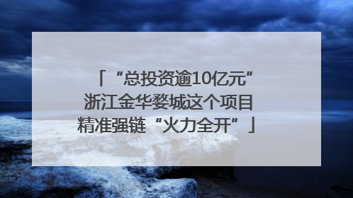 “总投资逾10亿元” 浙江金华婺城这个项目精准强链“火力全开”