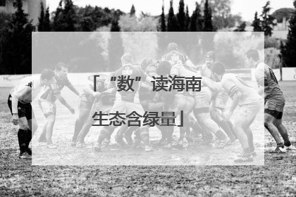 “数”读海南生态含绿量