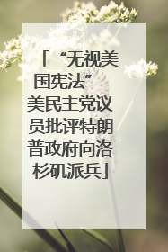 “无视美国宪法” 美民主党议员批评特朗普政府向洛杉矶派兵