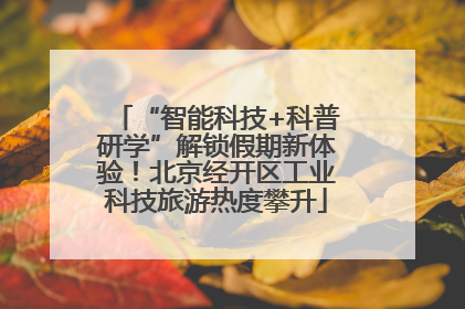 “智能科技+科普研学”解锁假期新体验！北京经开区工业科技旅游热度攀升