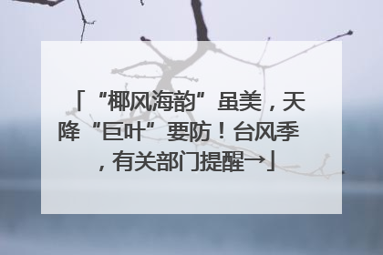 “椰风海韵”虽美，天降“巨叶”要防！台风季，有关部门提醒→