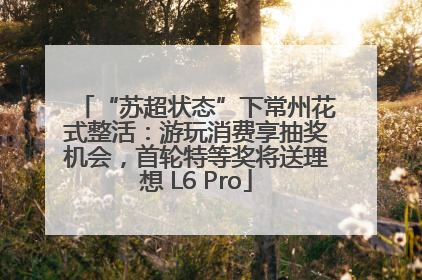 “苏超状态”下常州花式整活：游玩消费享抽奖机会，首轮特等奖将送理想 L6 Pro