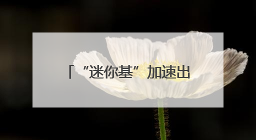 “迷你基”加速出清：年内117只谢幕，还有1655只在清盘边缘