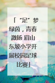 “足”梦绿茵，青春激扬 眉山东坡小学开展校园足球比赛