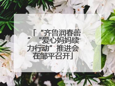 “齐鲁润春蕾”“爱心妈妈续力行动”推进会在邹平召开