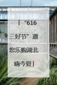 “616三好节”邀您乐购湖北嗨今夏