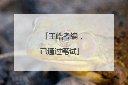 王皓考编，已通过笔试