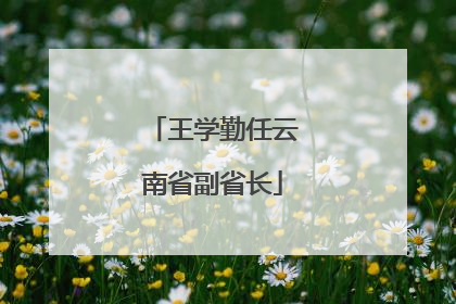 王学勤任云南省副省长