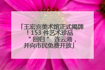 王宏喜美术馆正式揭牌！153 件艺术珍品 “ 回归 ” 连云港，并向市民免费开放