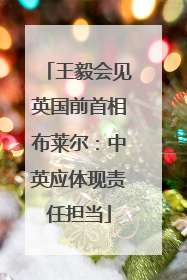 王毅会见英国前首相布莱尔：中英应体现责任担当