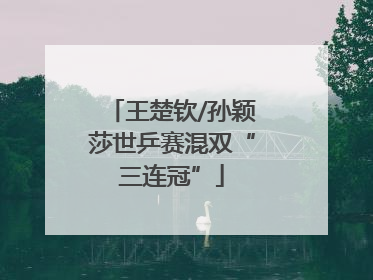 王楚钦/孙颖莎世乒赛混双“三连冠”