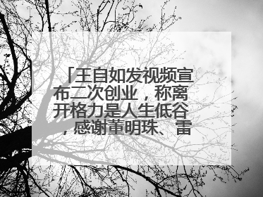 王自如发视频宣布二次创业，称离开格力是人生低谷，感谢董明珠、雷军，还回应了“工资条”：清楚自己要什么……