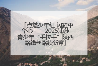 点燃少年红 闪耀中华心——2025浦莎青少年“手拉手”陕西路线丝路续新章