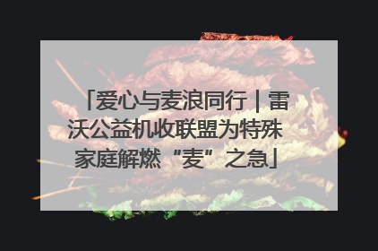 爱心与麦浪同行｜雷沃公益机收联盟为特殊家庭解燃“麦”之急