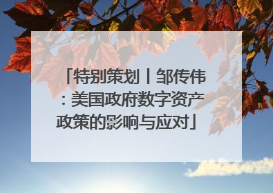 特别策划丨邹传伟：美国政府数字资产政策的影响与应对