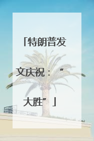 特朗普发文庆祝：“大胜”