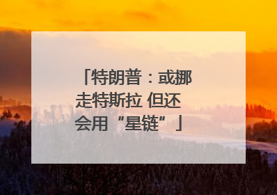 特朗普：或挪走特斯拉 但还会用“星链”