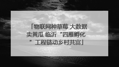 物联网种草莓 大数据卖黄瓜 临沂“四雁孵化”工程链动乡村共富