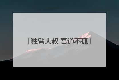 独臂大叔 吾道不孤