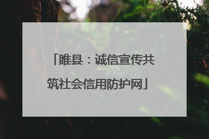 睢县：诚信宣传共筑社会信用防护网